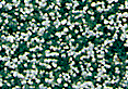 quartz 28 quartz 28